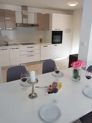 Kuhinja ili čajna kuhinja u objektu Villa Hrvatska