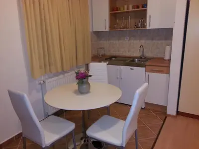 Kuhinja ili čajna kuhinja u objektu New Studio Apartments Trlaja
