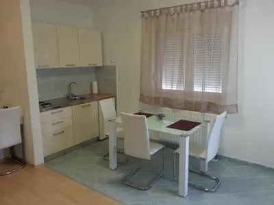 Kuhinja ili čajna kuhinja u objektu New Studio Apartments Trlaja