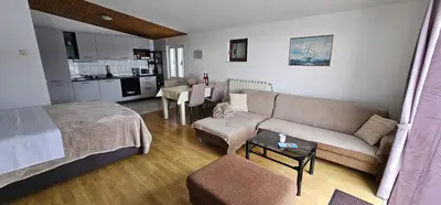 Kuhinja ili čajna kuhinja u objektu Apartman Pida , apartman s 1 spavaćom sobom