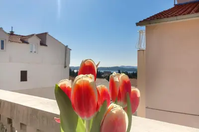 Priroda u blizini apartmana