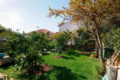 Vrt u objektu Apartments with parking space Jadrija, Sibenik - 23947