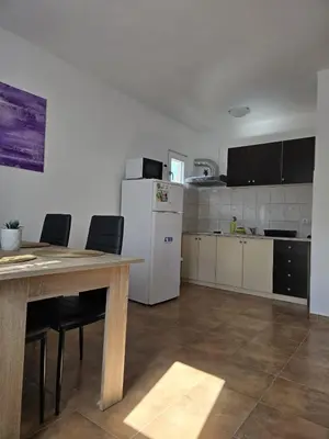 Kuhinja ili čajna kuhinja u objektu Apartmani Dino