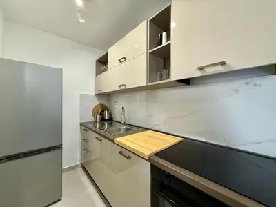 Kuhinja ili čajna kuhinja u objektu Apartman Lito