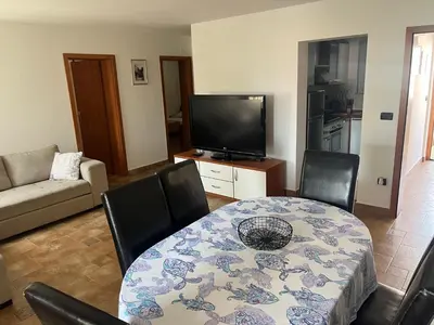 TV i/ili zabavni centar u objektu Apartments Smiljanic