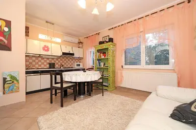 Kuhinja ili čajna kuhinja u objektu Apartments Sanja