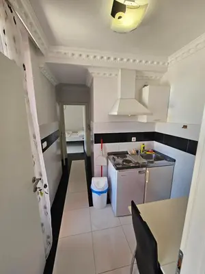 Kuhinja ili čajna kuhinja u objektu Villa Hašimović