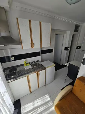 Kuhinja ili čajna kuhinja u objektu Villa Hašimović