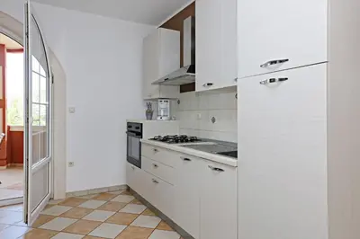 Kuhinja ili čajna kuhinja u objektu Apartments by the sea Sparadici - Sibenik - 24118