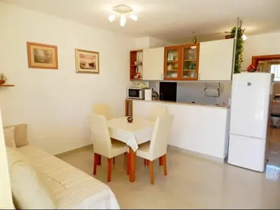 Kuhinja ili čajna kuhinja u objektu Apartment Darko