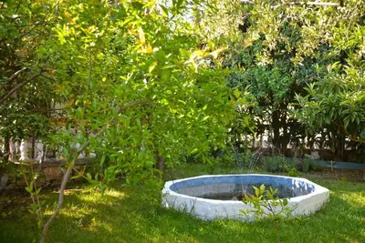 Vrt u objektu Apartment Vodice 4180b