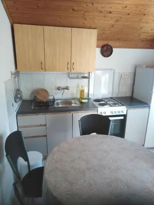 Kuhinja ili čajna kuhinja u objektu Apartments with parking space Murter - 5098