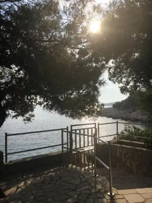 Priroda u blizini apartmana