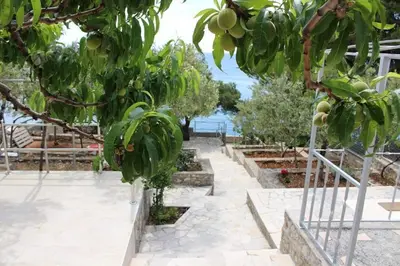 Priroda u blizini apartmana