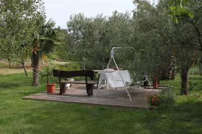 Vrt u objektu Apartments and rooms by the sea Vodice - 6182