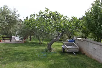 Vrt u objektu Apartments and rooms by the sea Vodice - 6182