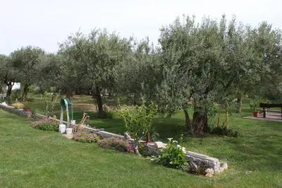 Vrt u objektu Apartments and rooms by the sea Vodice - 6182