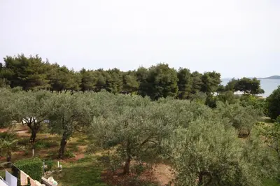 Priroda u blizini privatnih smještaja