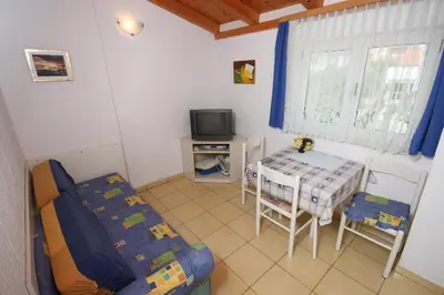TV i/ili zabavni centar u objektu Apartments and rooms by the sea Vodice - 6182