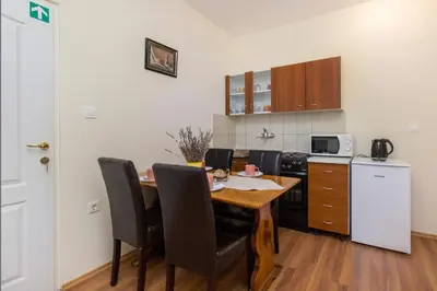 Kuhinja ili čajna kuhinja u objektu Apartments by the sea Pirovac, Sibenik - 6280