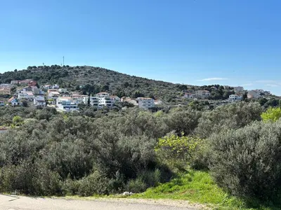 Priroda u blizini apartmana