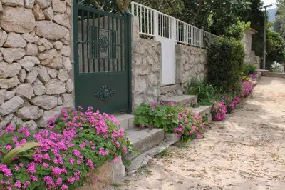 Vrt u objektu Apartments by the sea Grebastica, Sibenik - 8333