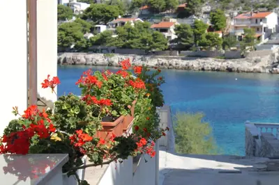 Priroda u blizini apartmana