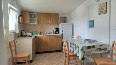 Kuhinja ili čajna kuhinja u objektu Apartments with parking space Murter - 5150