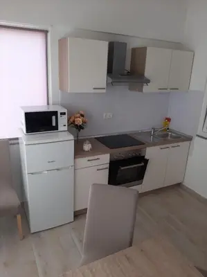 Kuhinja ili čajna kuhinja u objektu Apartments Adria