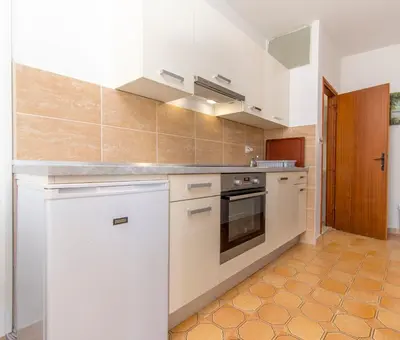 Kuhinja ili čajna kuhinja u objektu Apartment Tina