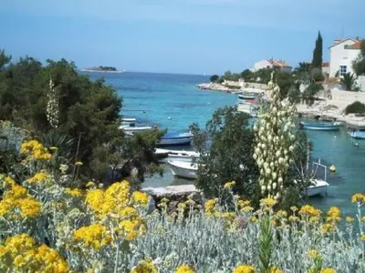 Priroda u blizini apartmana