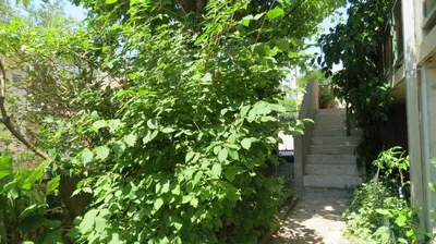 Vrt u objektu Apartments Marko