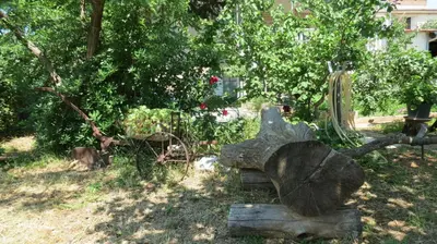 Vrt u objektu Apartments Marko
