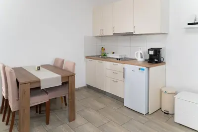 Kuhinja ili čajna kuhinja u objektu Apartment Matic Sonkovic