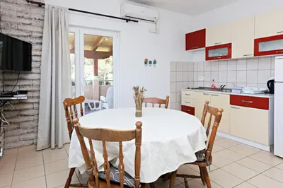 Kuhinja ili čajna kuhinja u objektu Apartments with parking space Grebastica, Sibenik - 24046