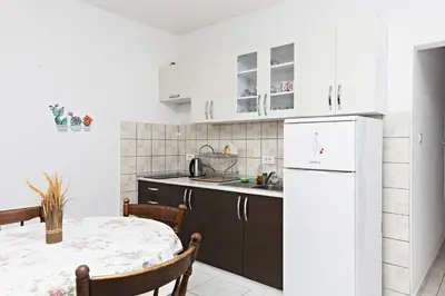 Kuhinja ili čajna kuhinja u objektu Apartments with parking space Grebastica, Sibenik - 24046