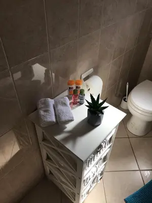 Kupaonica u objektu Apartments Angela