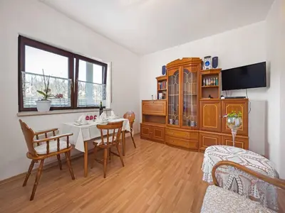TV i/ili zabavni centar u objektu Apartment in Zaton near Beach Zvizda
