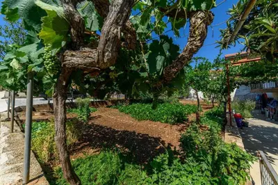 Vrt u objektu Apartments with parking space Raslina, Krka - 24304