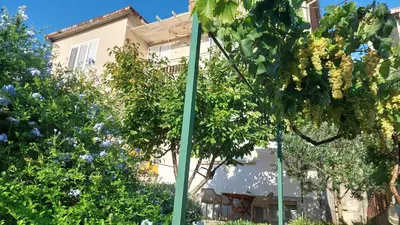 Vrt u objektu Vega - Spacious Home, Garden, Terrace & Garage