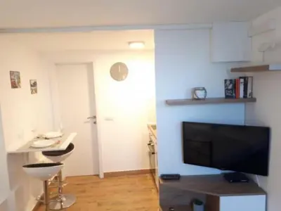 TV i/ili zabavni centar u objektu Holiday Home Vilson