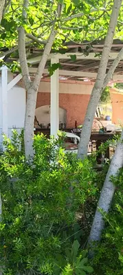 Vrt u objektu Holiday Home Drescher