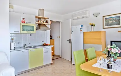 Kuhinja ili čajna kuhinja u objektu Gorgeous Apartment In Podsolarsko With Wifi