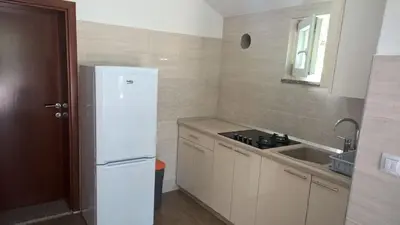 Kuhinja ili čajna kuhinja u objektu Villa Palas Apartments 2