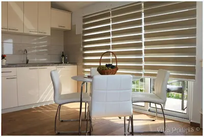 Kuhinja ili čajna kuhinja u objektu Villa Palas Apartments 2