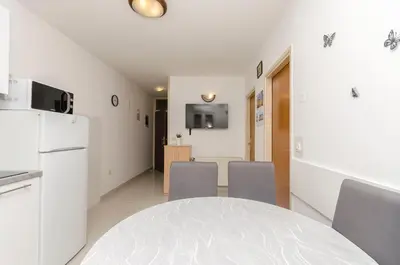 TV i/ili zabavni centar u objektu Apartments Anita summer