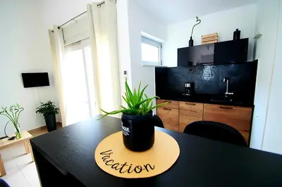 TV i/ili zabavni centar u objektu Apartments Petrovic