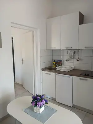 Kuhinja ili čajna kuhinja u objektu Apartments Anita