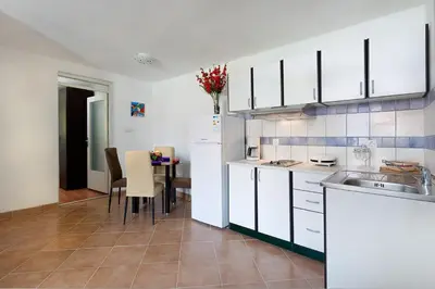 Kuhinja ili čajna kuhinja u objektu Apartman Tatiana-Murter-centar