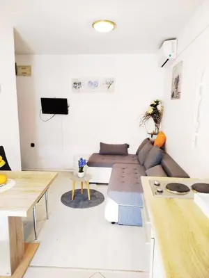 TV i/ili zabavni centar u objektu Apartmani Ruža